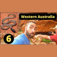 Session Ten: Herping In The Most Exotic Countries In The World With Frank Colacicco