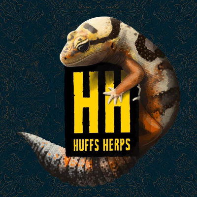 Strength In Leos Podcast