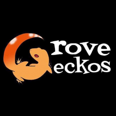 Strength In Leos Podcast