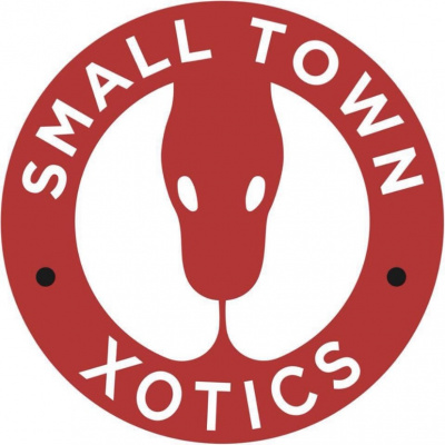 Strength In Leos Podcast