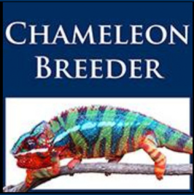 Strength In Leos Podcast