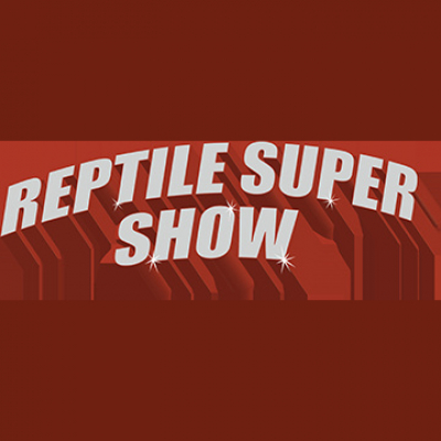 Strength In Leos Podcast