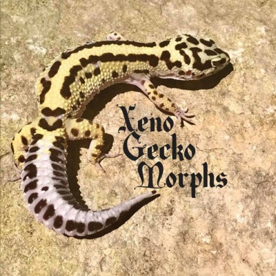 Strength In Leos Podcast