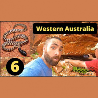 Strength In Leos Podcast