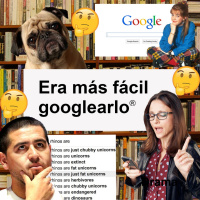 ¿Los chinchulines tienen caca?