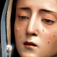 Journey with Our Lady of Sorrows