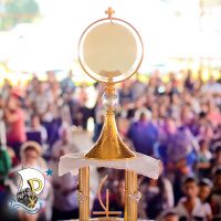 Eucharistic Miracles  The Journey of Faith