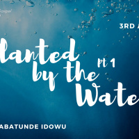 Planted by the Water 1 || Rev. Babatunde Idowu || 3rd August 2025