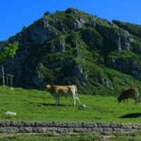 S XIX Clarin, Adiós Cordera 3/5