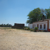 S XX Miguel Delibes La mortaja 4/6