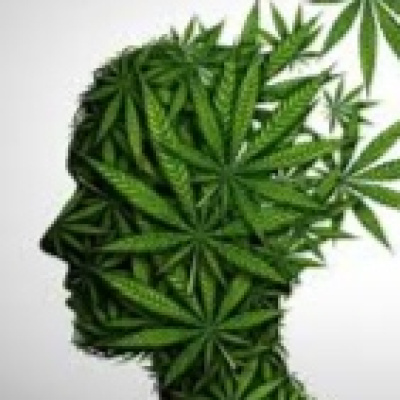 Podcast De Sandra Sulvarán