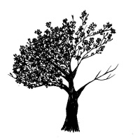 HÉLADE [N] Antigua Grecia. Crea tu Legado.