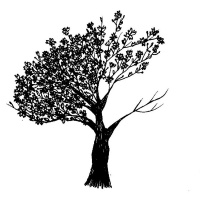 RESILIENCIA [N] Como nadie te la ha contado. Visita tu bosque interno.