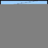 Ep 39: Memorial Day Heroes - Biloxi Blues and Empire of the Sun