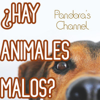 ¿Hay animales malos?