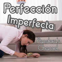 Desventajas de la Perfección.