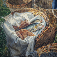 Homilia Dominical | Lições espirituais do milagre da multiplicação (17.º Domingo do Tempo Comum)