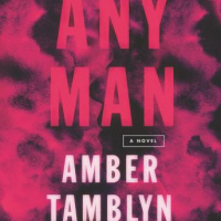 Any Man: A Novel Audiobook