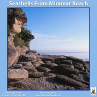 Seashells from Miramar Beach Audiobook