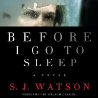 Before I Go To Sleep Audiobook