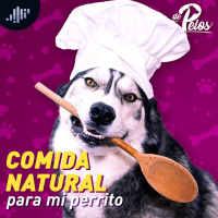 ¿Comida natural para mi perrito?