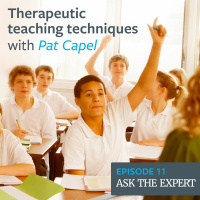 Episode 11: Therapeutic teaching techniques – with Pat Capel