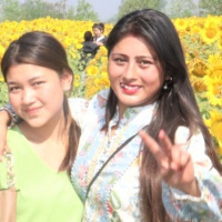 दाङको सूर्यमुखी फूल खेती भाइरल, किसानलाई नसोचेको फाइदा 