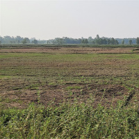 पानी नपर्दा तराइ, मधेशका किसानको खेत बाँझै 