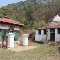 टकविहीन टक्सार 