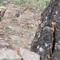 धनकुटाको याखा गाउँ सुख्खा पहिरोको जोखिममा 