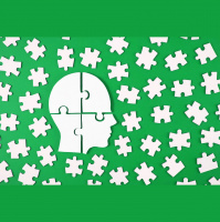 411: Following the green - sustainability investment trends for 2023