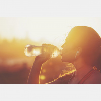 228: What role can probiotics play in sport performance?