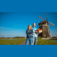 241: Creating a sustainable food system - why all eyes are on the Netherlands