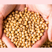 115: How one brand is transforming food with smarter seeds