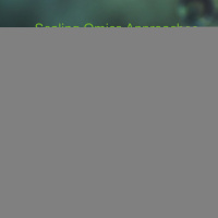 2020 Symposium Special: Lasse Boding