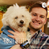 Puppy Bowl 2019 Preview