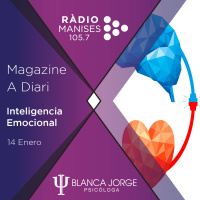 2x08 ¿Qué es la inteligencia emocional? | Podcast de psicología con Blanca Jorge en Radio Manises