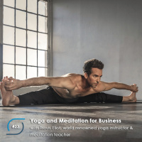 #23 - Yoga and Meditation for Business, with Travis Eliot