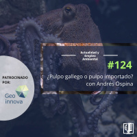 ¿Pulpo gallego o pulpo importado?, con Andres Ospina #124