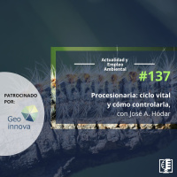 Procesionaria: ciclo vital y cómo controlarla, con José A. Hódar #137