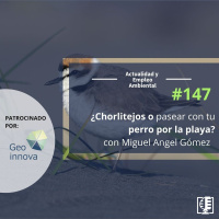 ¿Chorlitejos o pasear con tu perro por la playa?, con Miguel Angel Gómez #147