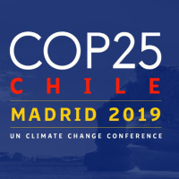 Como funcionan las Cumbres del Clima (COP), con Florent Marcellesi | Actualidad y Empleo Ambiental #32