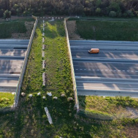 ¿Hacer o no un master? y pasos de fauna sobre autovías | Actualidad y Empleo Ambiental #17 18/6/19