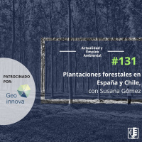 Plantaciones forestales en España y Chile, con Susana Gómez #131