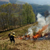 Quemas prescritas del monte, con Javier Madrigal | Actualidad y Empleo Ambiental #86