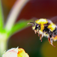 Actualidad y Empleo Ambiental #6 - 01/04/2019