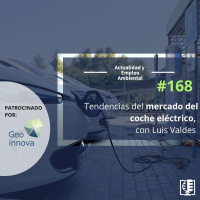 Tendencias del mercado del coche eléctrico con Luis Valdes #168