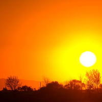 ¿Nos adaptamos al aumento de las temperaturas del Cambio Climático? | Actualidad y Empleo Ambiental #61