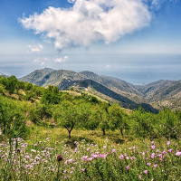 Estrategias de biodiversidad e infraestructura verde, con Jordi Cortina | Actualidad y Empleo Ambiental #79