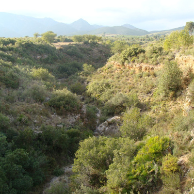 Actualidad Y Empleo Ambiental